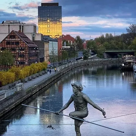 Firfas Rodzinny 11 *